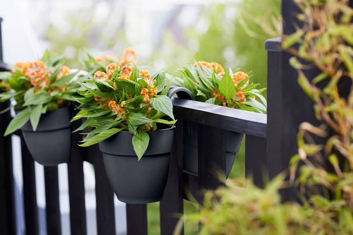 vibia campana flower twin 21cm anthracite